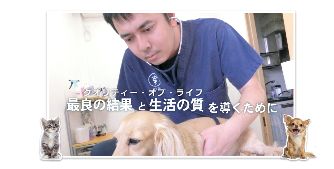 ユーノ動物病院は神奈川県綾瀬市にある犬猫専門の診療院です。